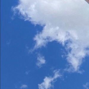 Meet your Posher, Anabella